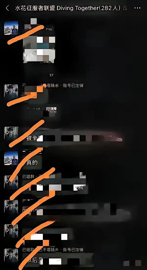 网bao全红婵这282人都什么来路？一起来看看！真的越看越气！

群组名为 "水