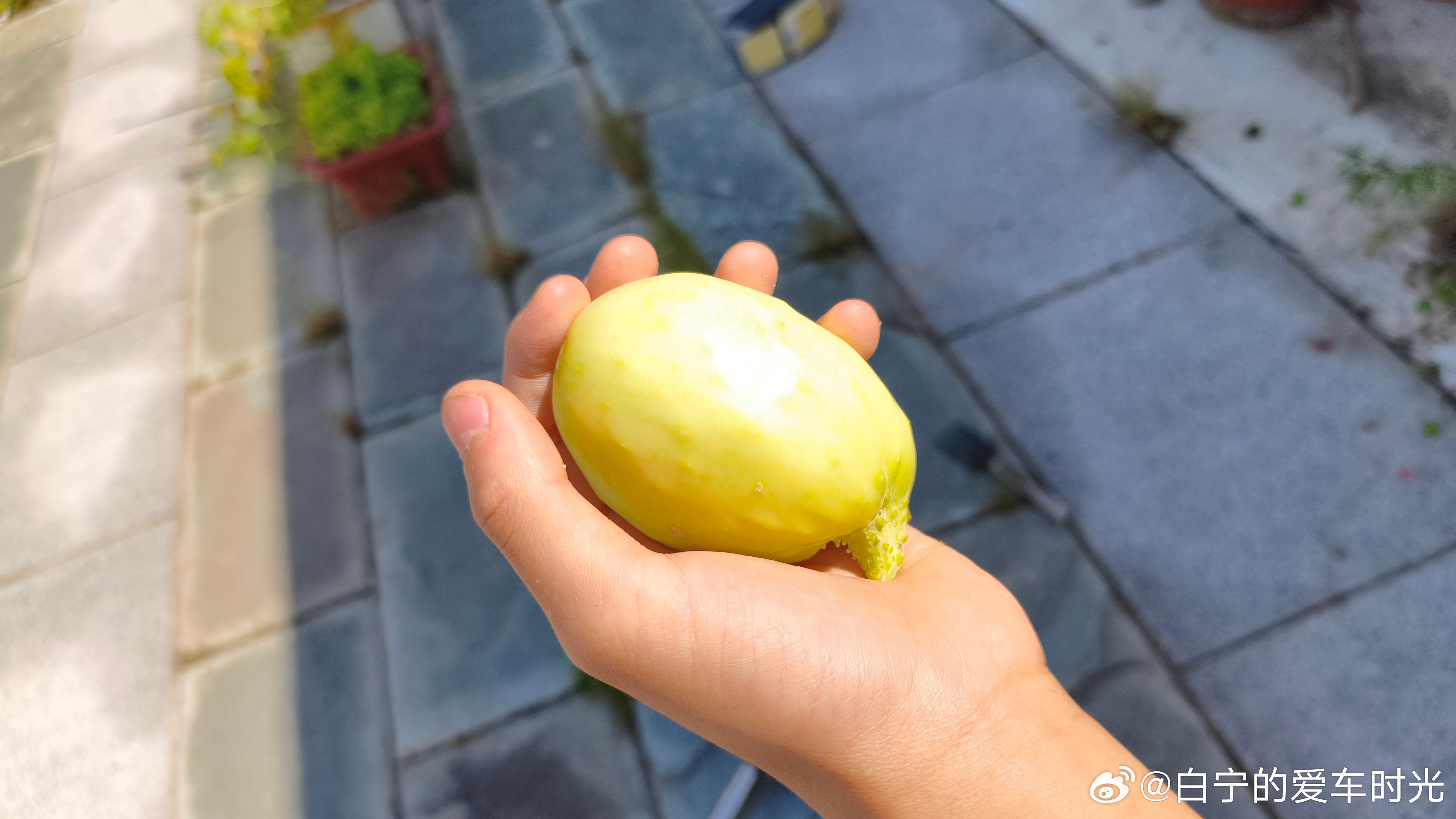 小米王腾因泄密被辞退商业信息的泄露相当普遍，我家的企业也遇到过，作为企业，只能靠