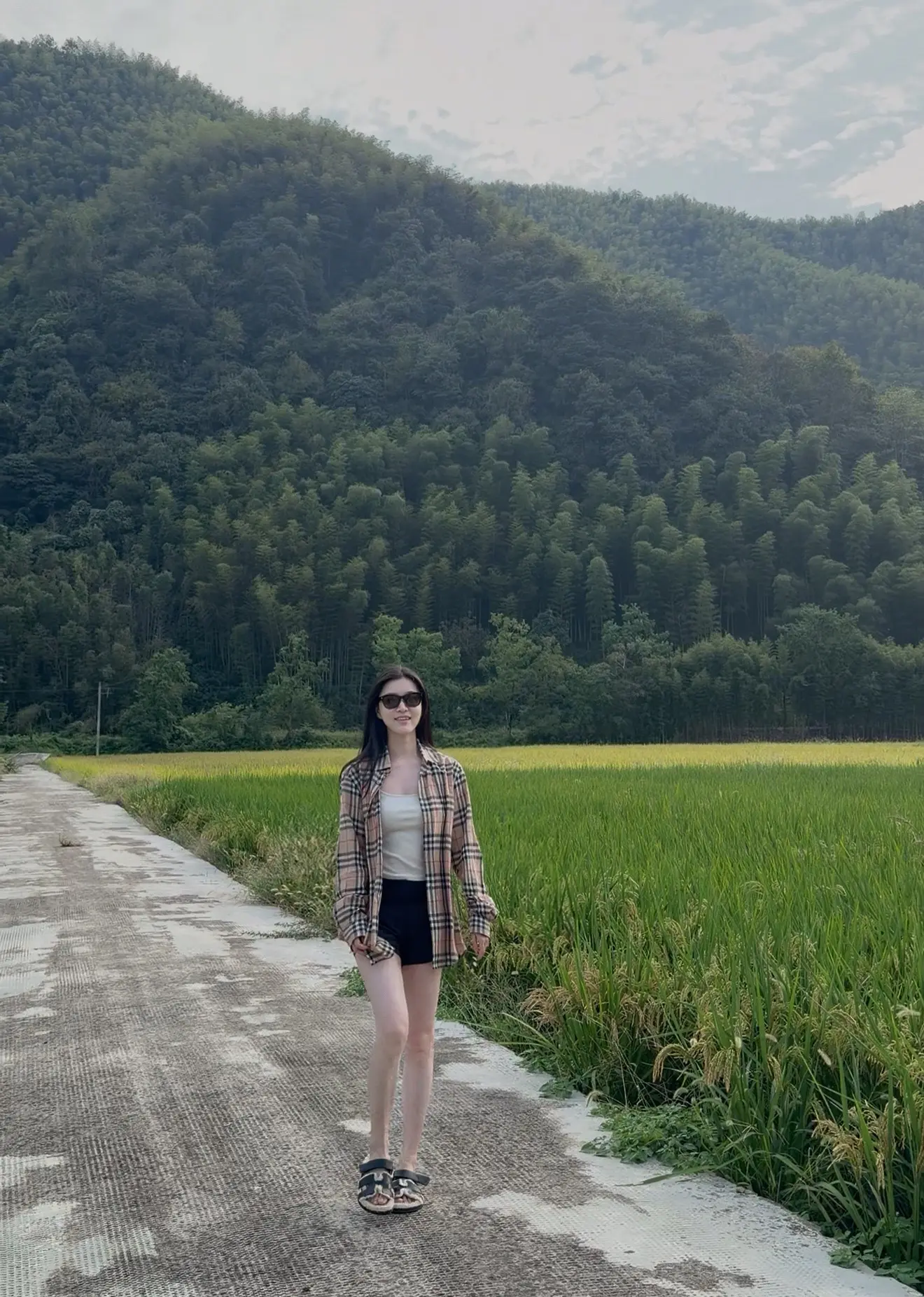 小时候的稻田 成了现在我们眼里最美的风景