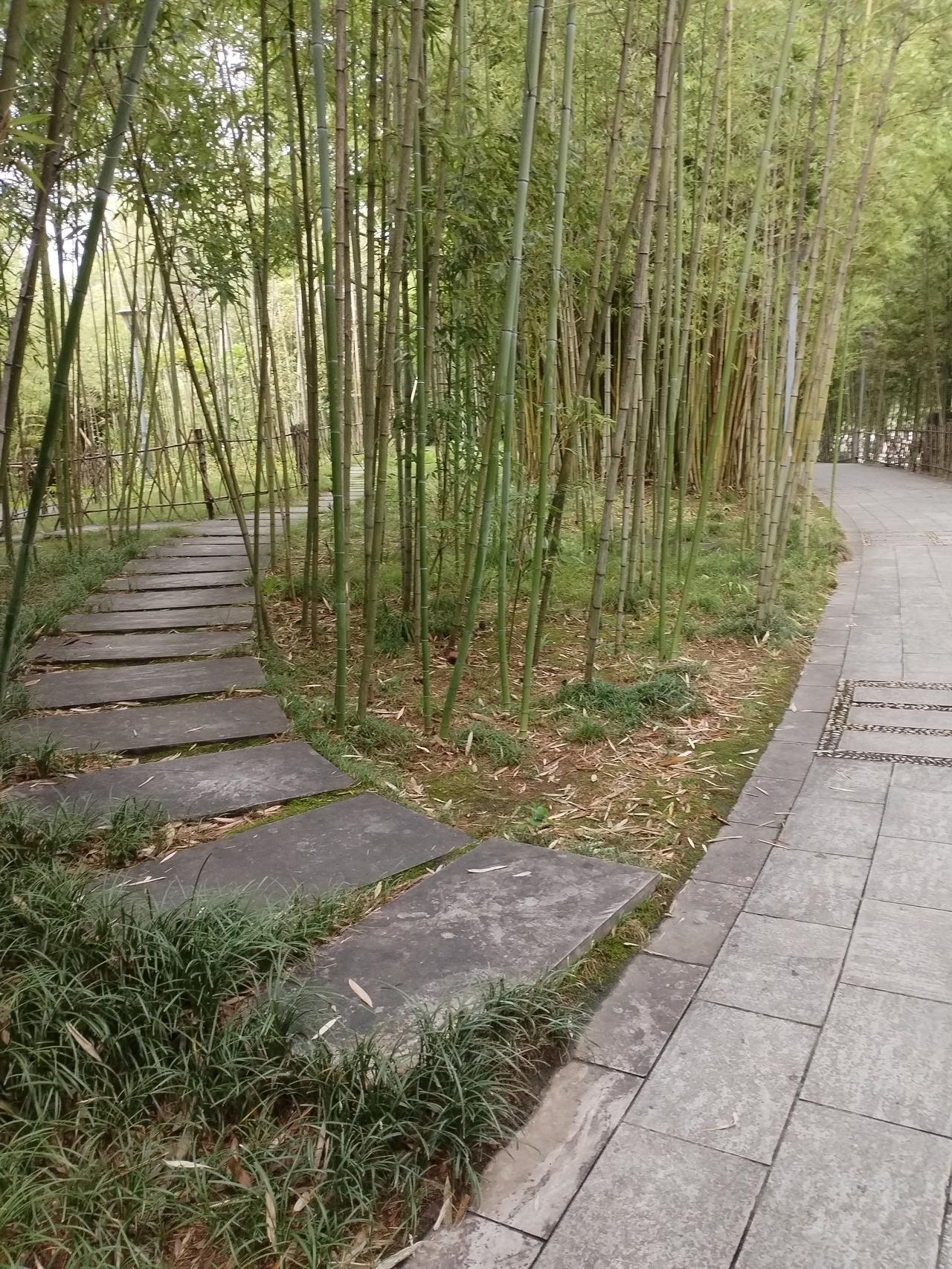 风宿万岭云
下联以无形的风对高悬的月，把上联“月饮千江水”的清狂浪漫延续到底。“