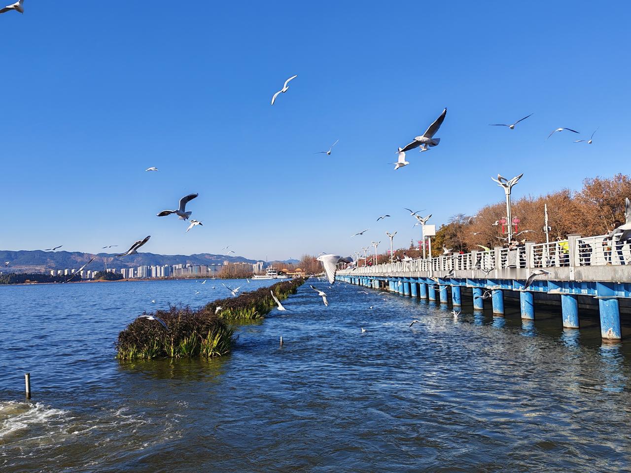 新疆网红去世了，“避谣”成了事实。于一个“死人为大”的族群来说，我们要做的，就是