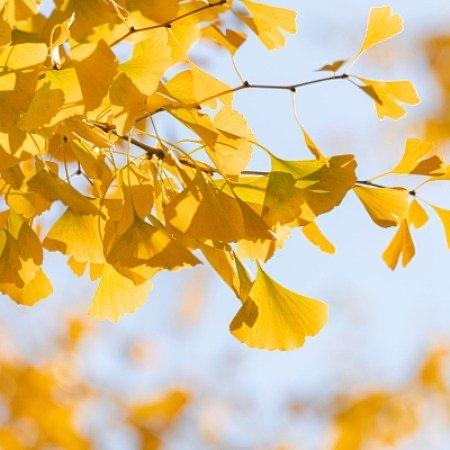 最近四川眉山文忠街上演了一出让人心里堵得慌的戏码——有网友拍到多名环卫工举着高压