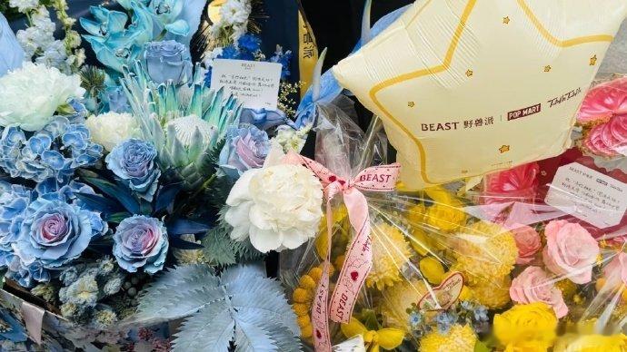 宋雨琦为王安宇送花篮宋雨琦送王安宇花篮 宋雨琦送王安宇花篮 