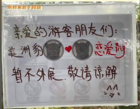 门票40却火过迪士尼！曾是中国最穷动物园，今成功逆袭成“顶流”
 
最近“迪士尼