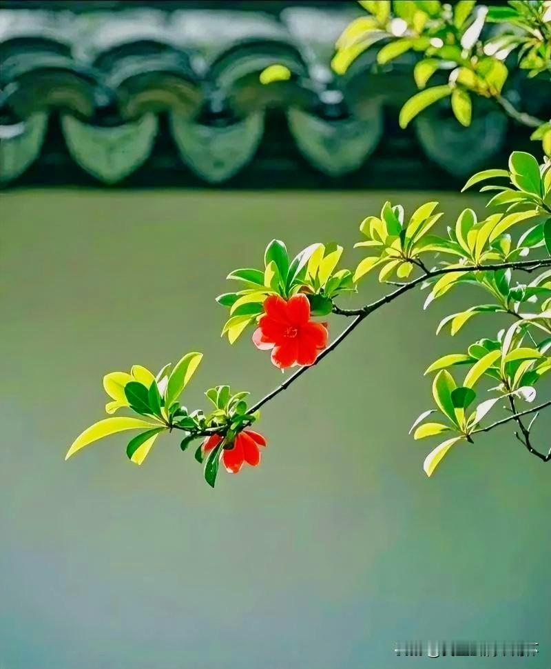 下联：午窗睡觉看榴花
上联：有请雅士[玫瑰][玫瑰][玫瑰]