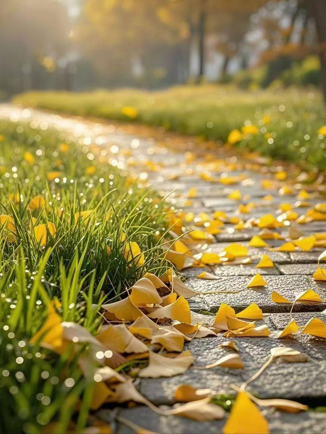 城西冬将至，涑水不系舟。
北园日渐暖，煮茶此刻休。
趿鞋读汉书，中郎难封候。
窗