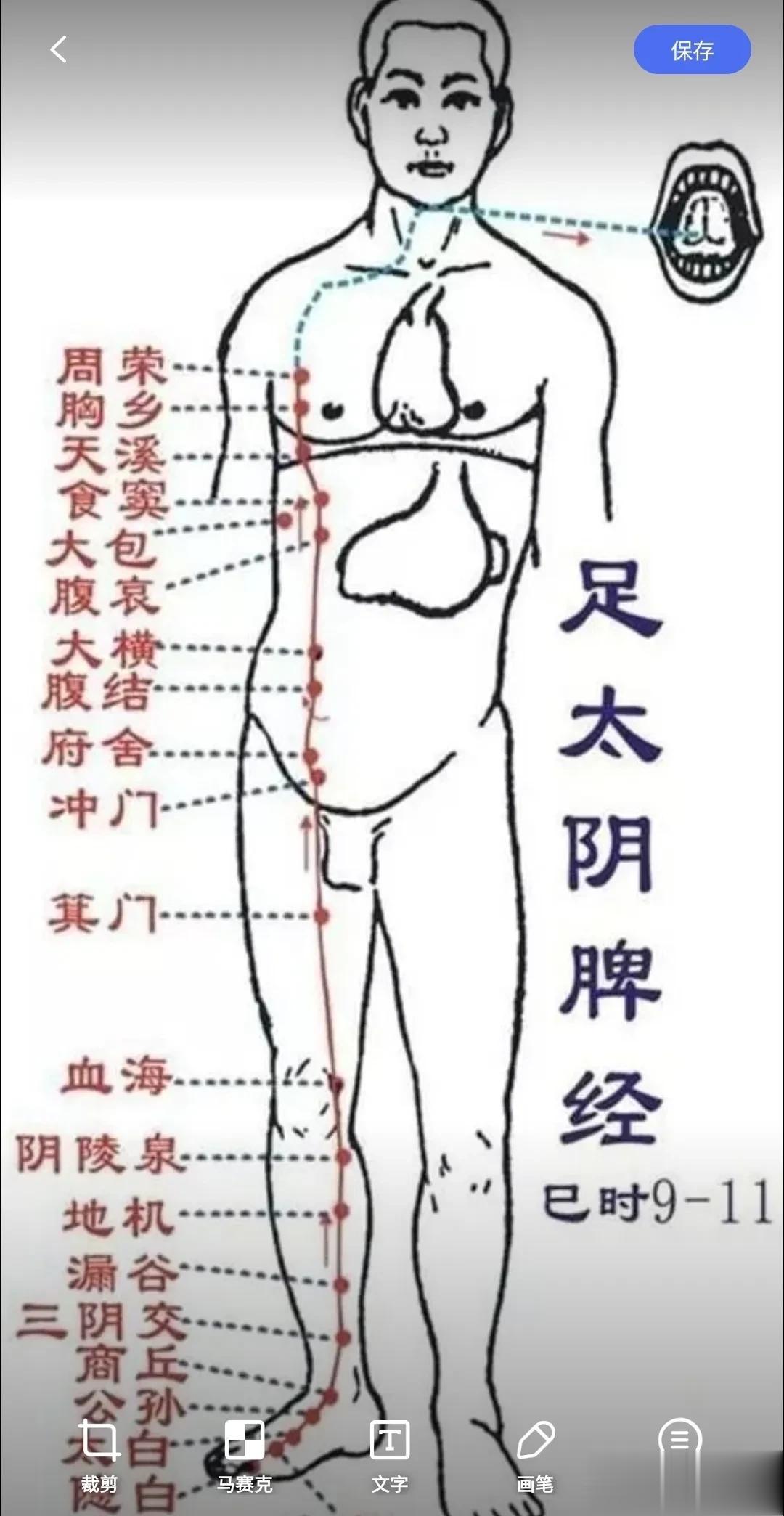 有些人琢磨的就是不错，比如足太阴脾经巧记：
在银白的月光下有人打赌，原来是李太白
