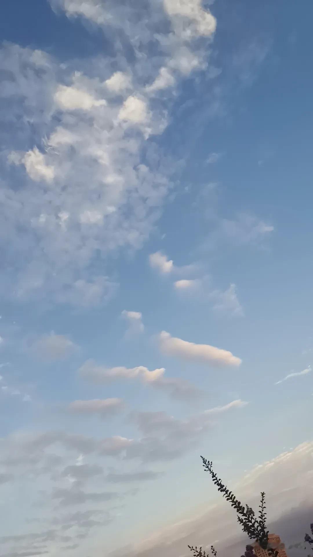 唯见层云不见鸟，风急枯枝赛天高。

青穹难觅一轮月，满腔豪情与谁说？