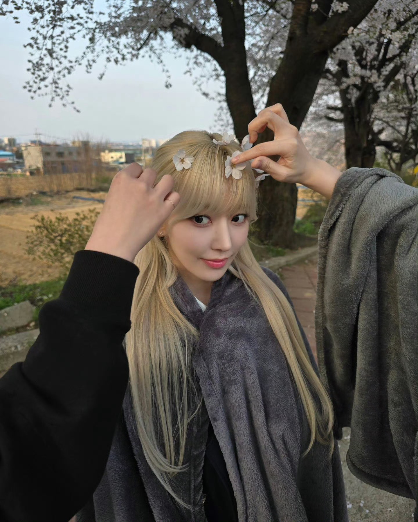 樱花树下的女宝们～🌸🌸🌱 