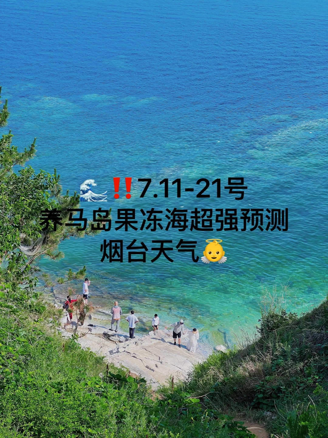 📍7.11-21号烟台养马岛果冻海超强预测