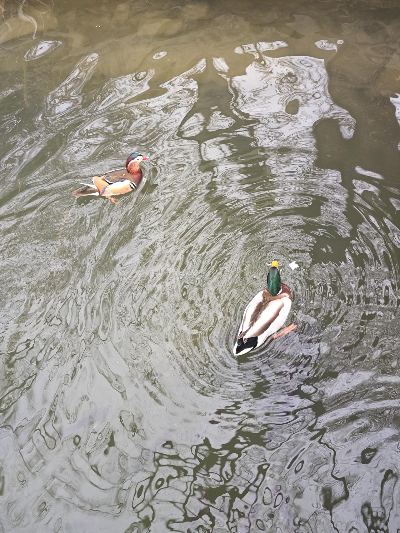 兄弟姐妹再好，也要守住这4个边界，别傻傻交底
 
人这一辈子，走过半生才会明白，