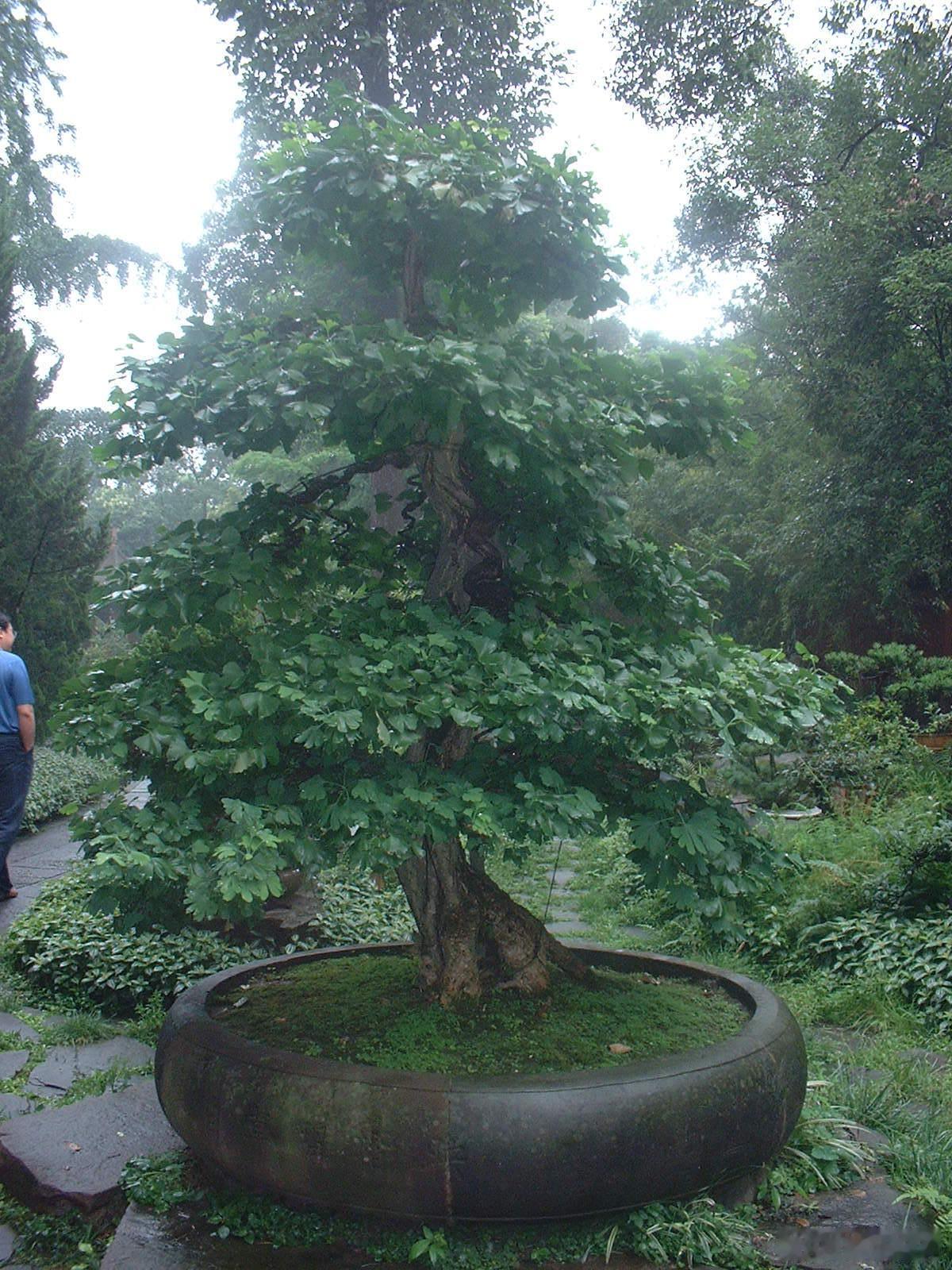 曾记否？那年秋天川藏之行的记忆。（续三）尽管相机像素不高，但照片还是比手机拍摄的
