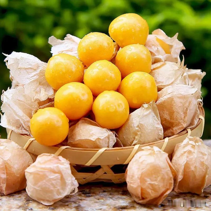 关于菇娘果的名字起源。
这种水果为什么叫姑娘呢？
在我们吉林省。
三十年前，家家