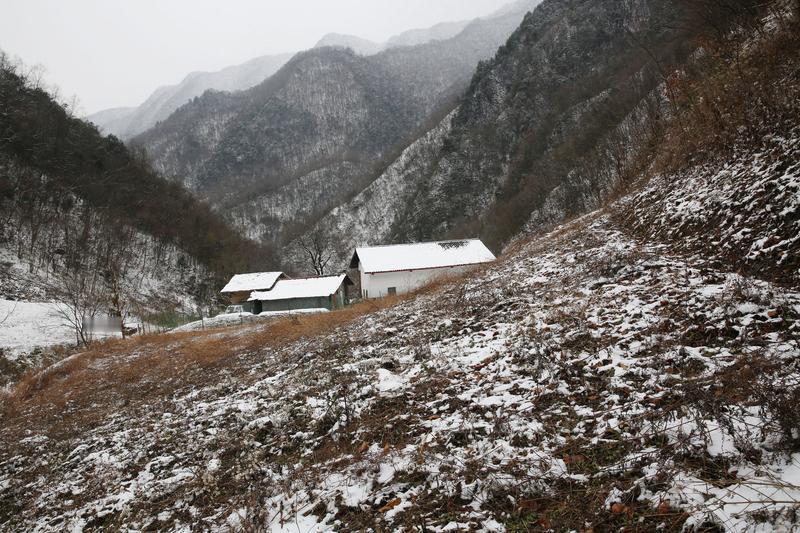 1月6日，吉林临江把“大母猪沟”“小母猪沟”改成“大木柱沟”“小木柱沟”，网友猜