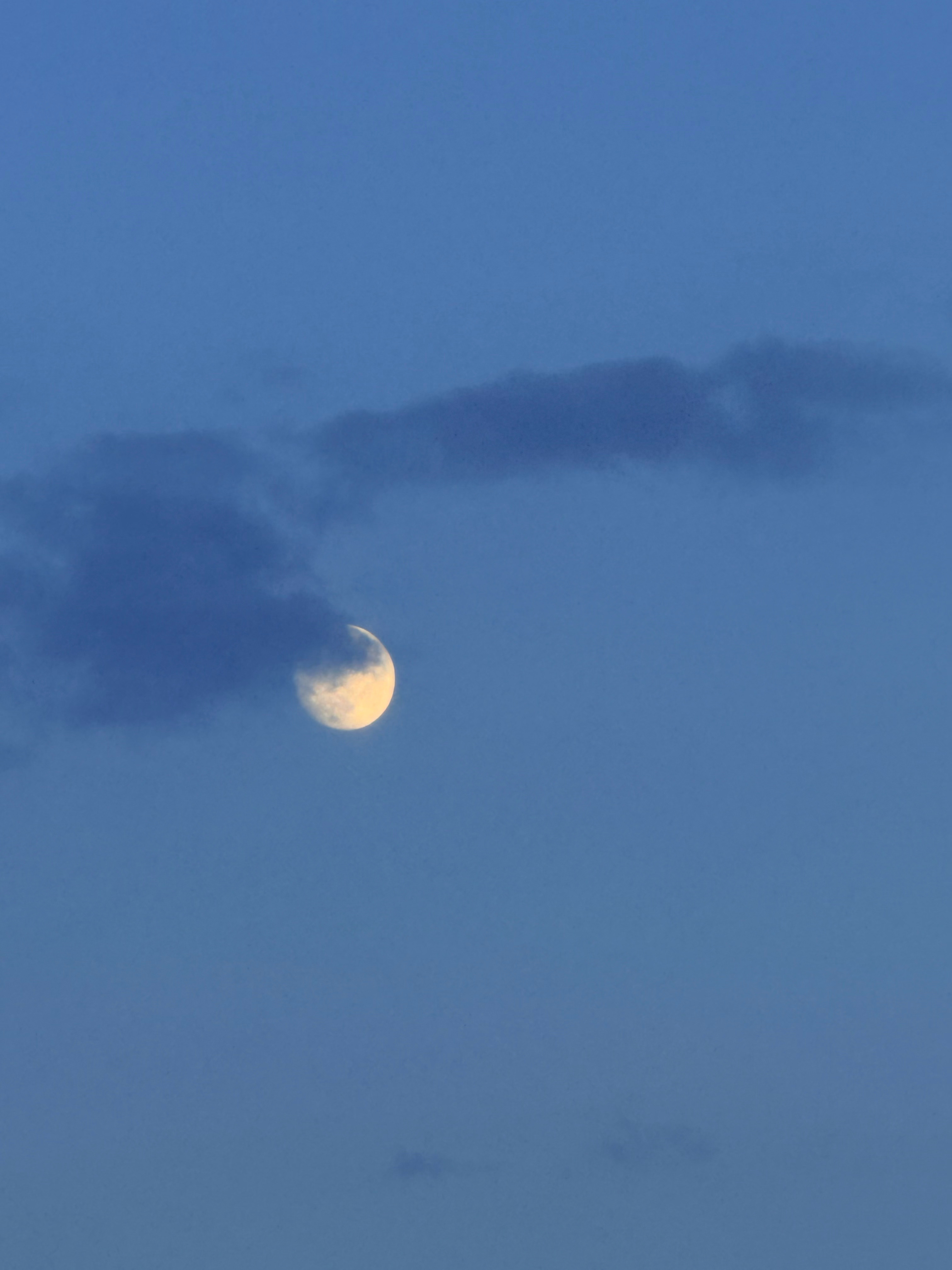 昨天的月亮。6月27日20:02。 