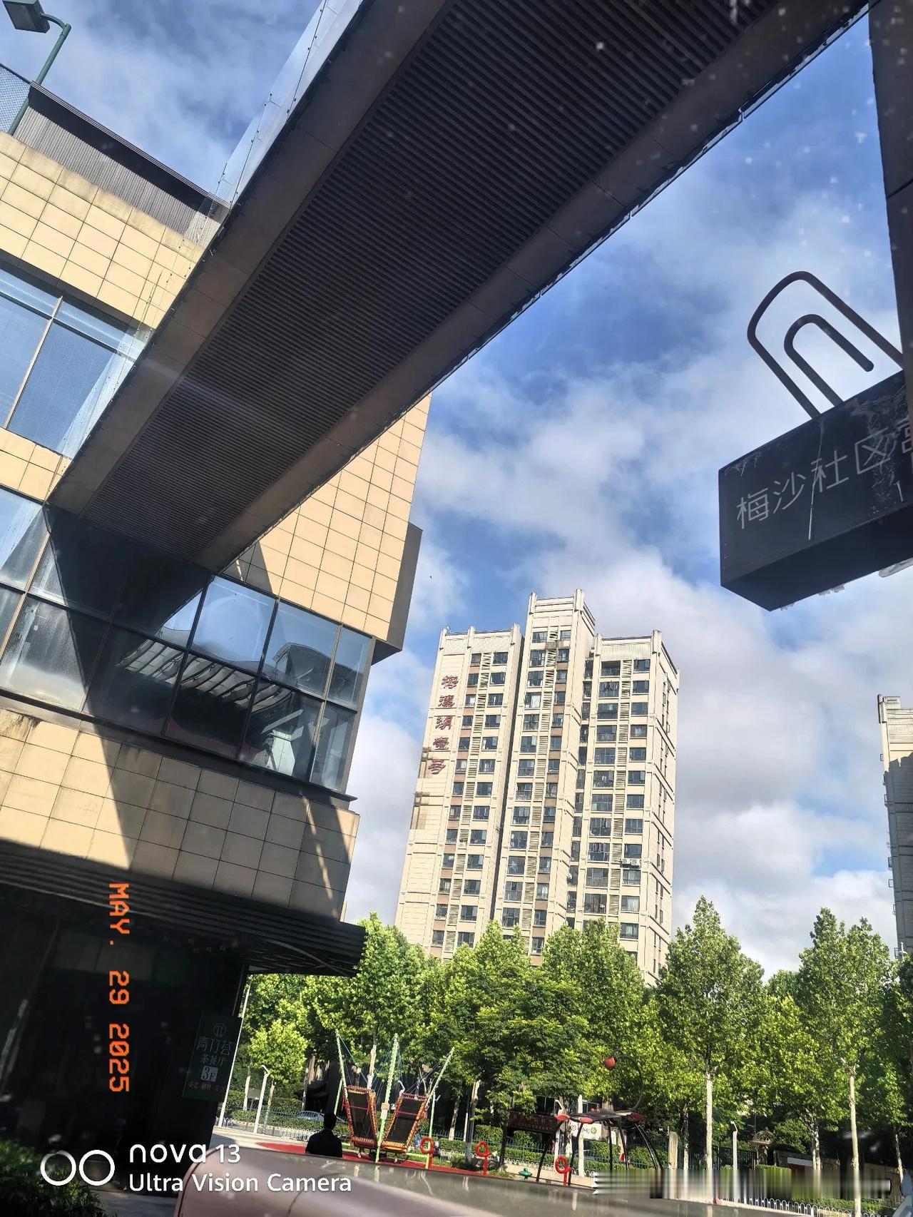 阳光遍洒的都市街景，现代建筑和绿树相互映衬，别有一番趣味。城市绿意盎然 早晨城市