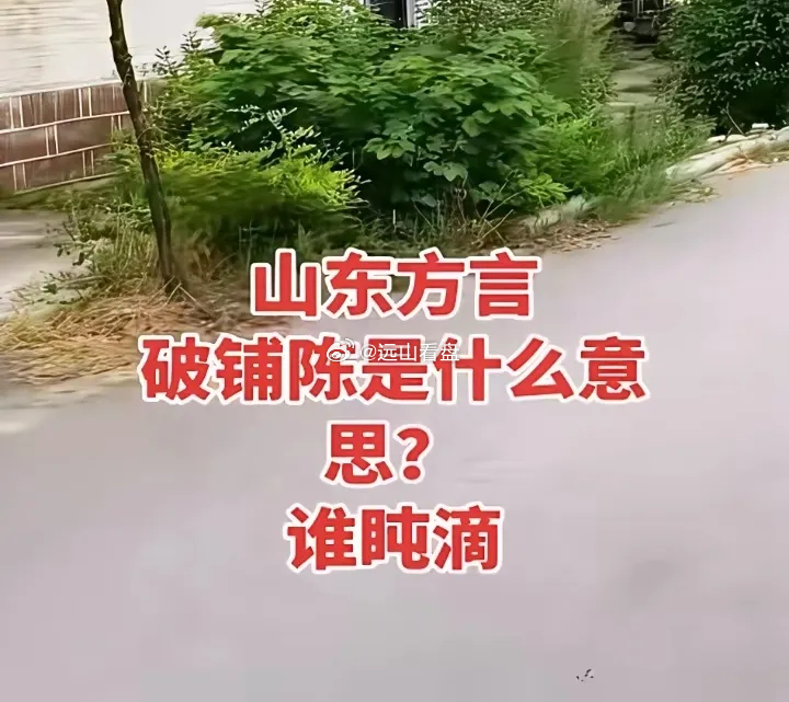 有没有山东的朋友？“破铺陈”是什么意思呢？有没有山东的朋友？帮忙翻译一下？ ​​