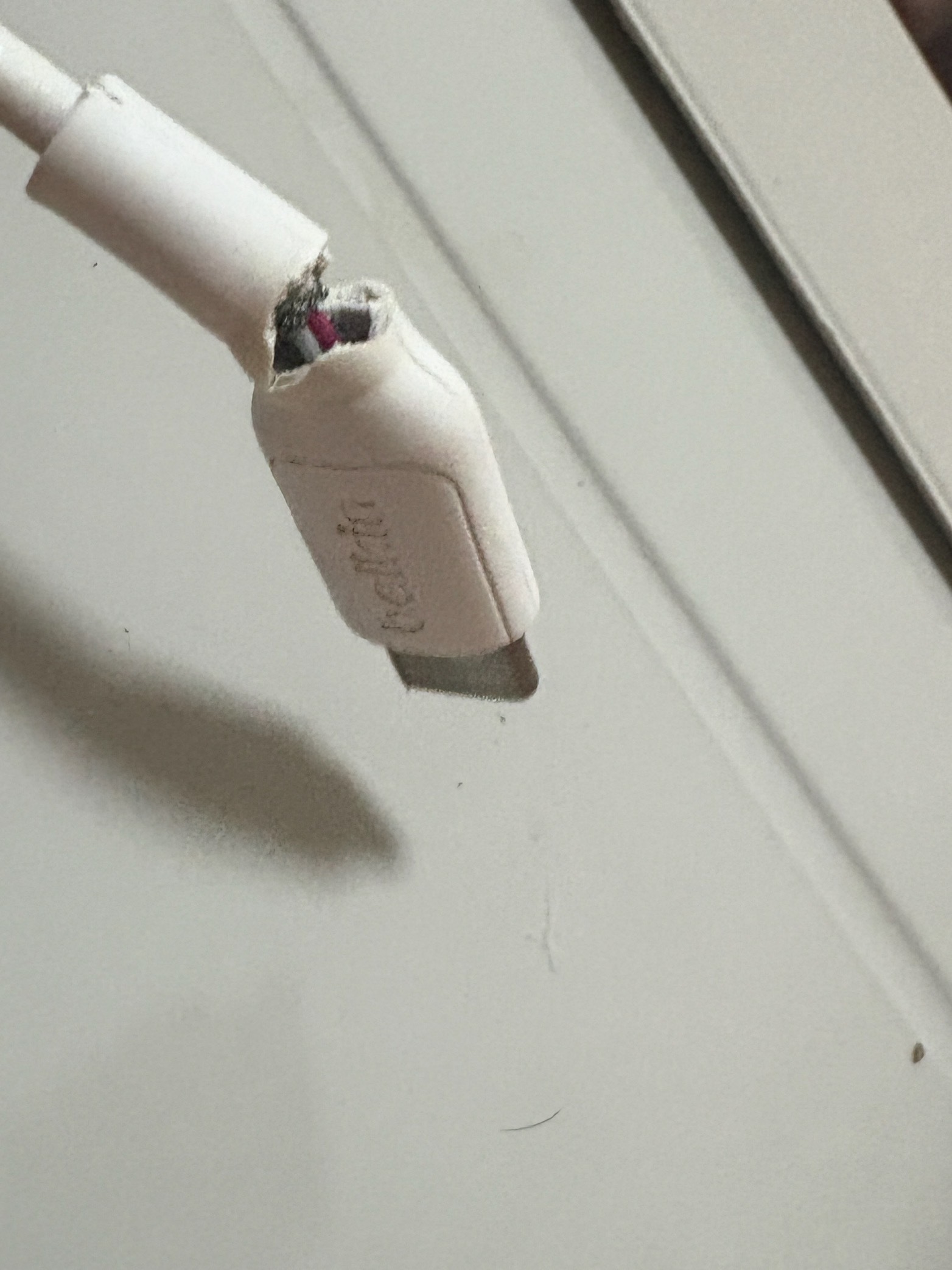还好上次一次买了两根