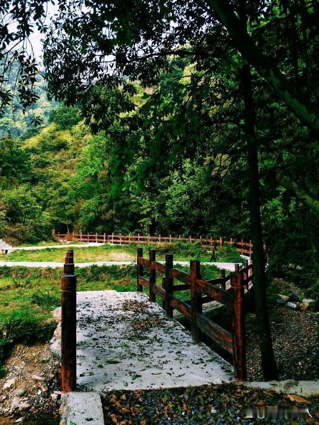 春日漫游指南｜富川西岭森林公园全攻略

春日的风里带着泥土的湿润，最适合用一场酣