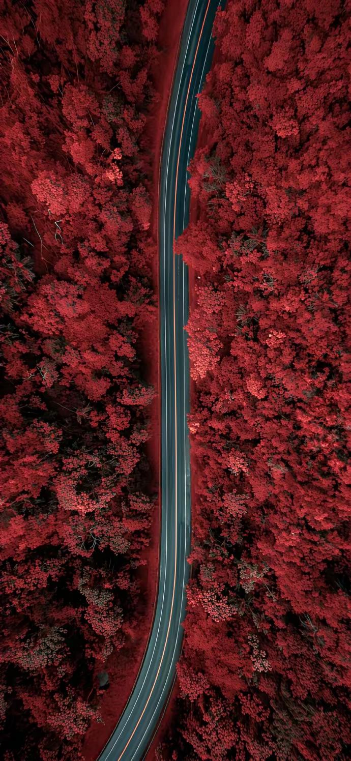 真正的养生是给自己腾块地，可以种点无用的爱好，比如望云，听雨，弄花，心满了，杂念