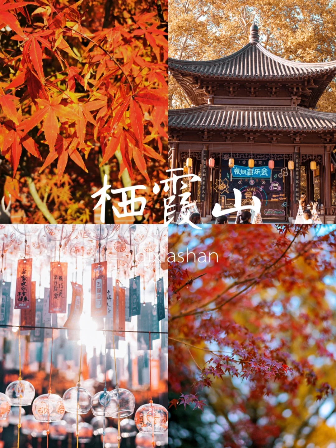 本周栖霞山红叶已进入最佳观赏期！快来打卡