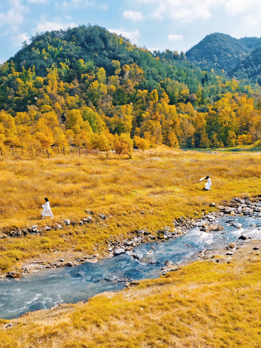 我宣布❗️这里是浙江赏秋天花板🍂不输新疆