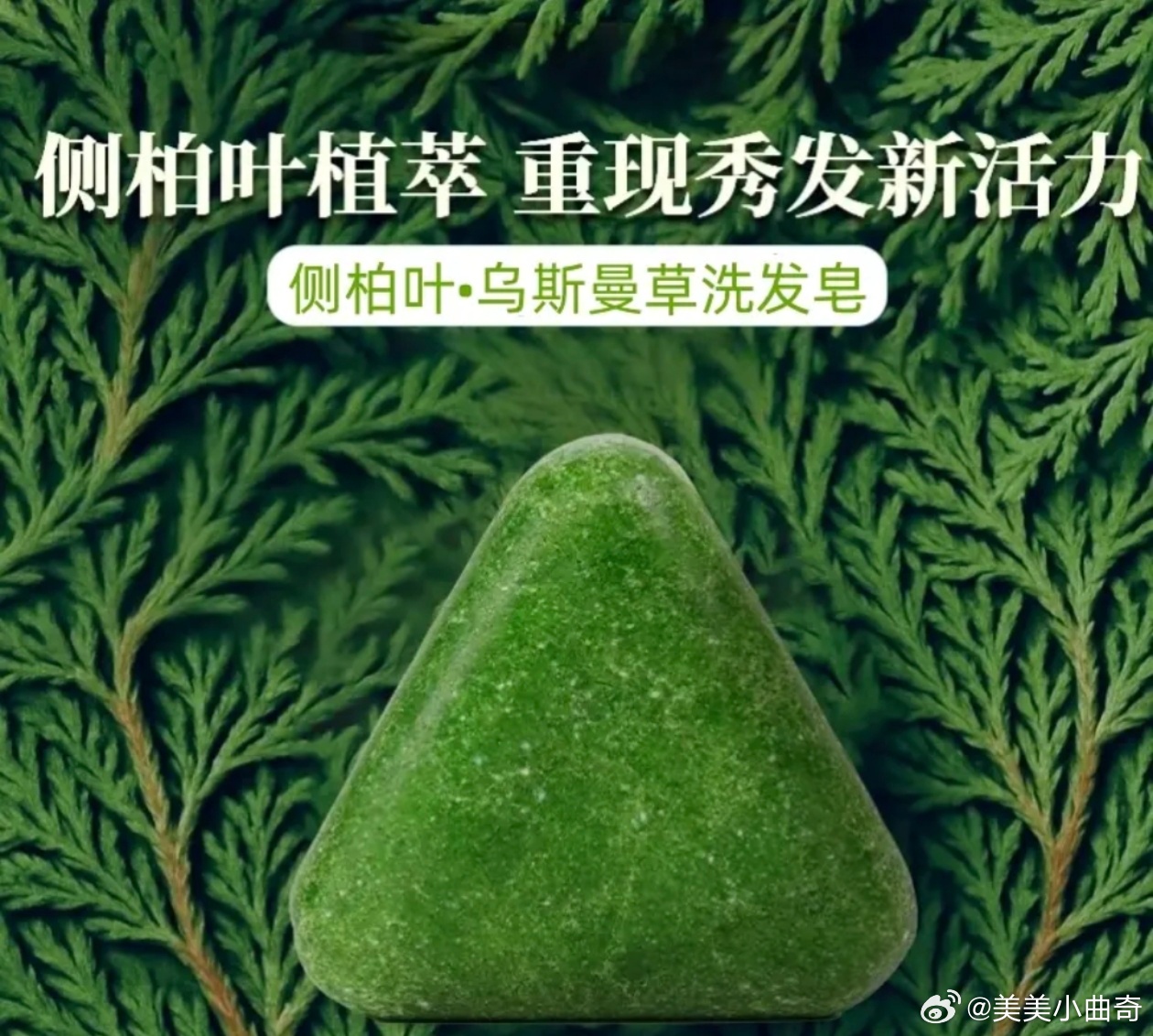 今天回来我也和洁癖哥分享了我们的美女同事，给他看，我说真的超好看的啊。头发还多，