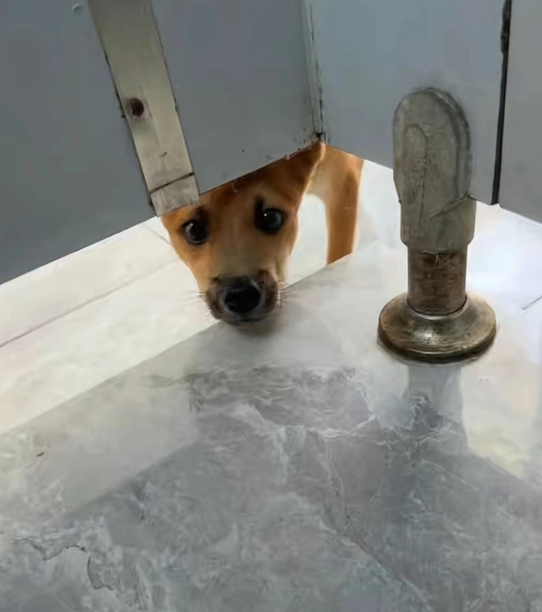 谁懂 ​​​