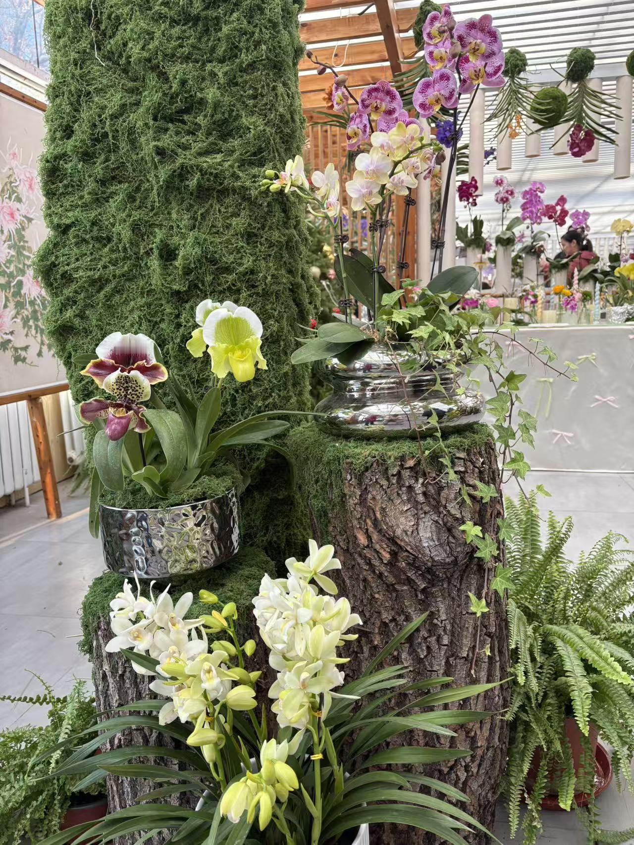 晒图笔记大赛景山公园花卉展