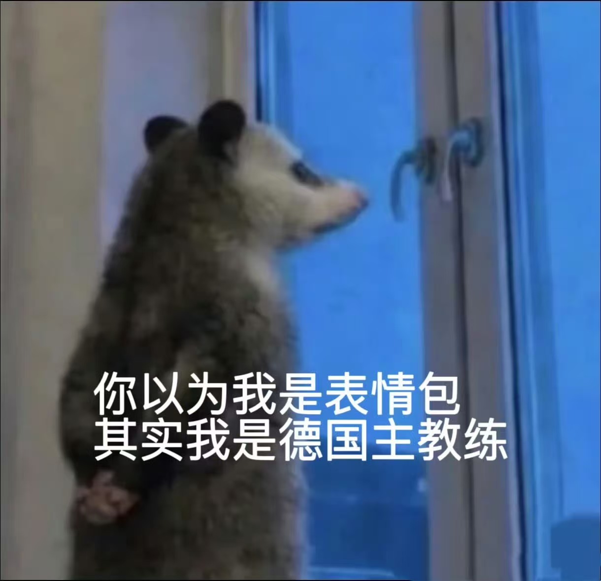 分享图片 
