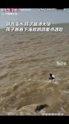 可怜天下父母心！广东珠海，一对年轻父母带着孩子去海边玩，不料，宠物鹦鹉突然掉进了