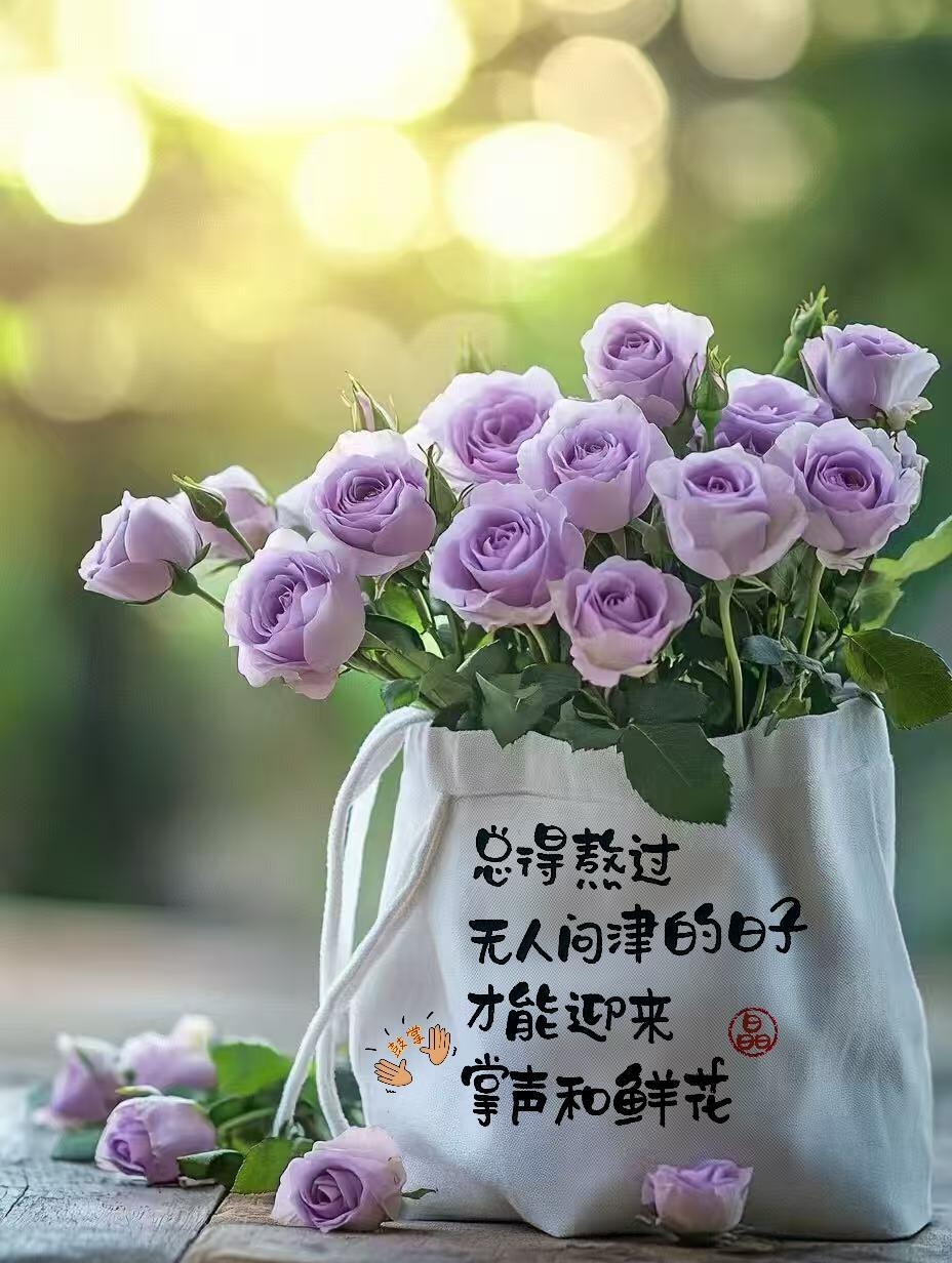 所求皆如愿，身边皆心安，日子平淡也温暖。