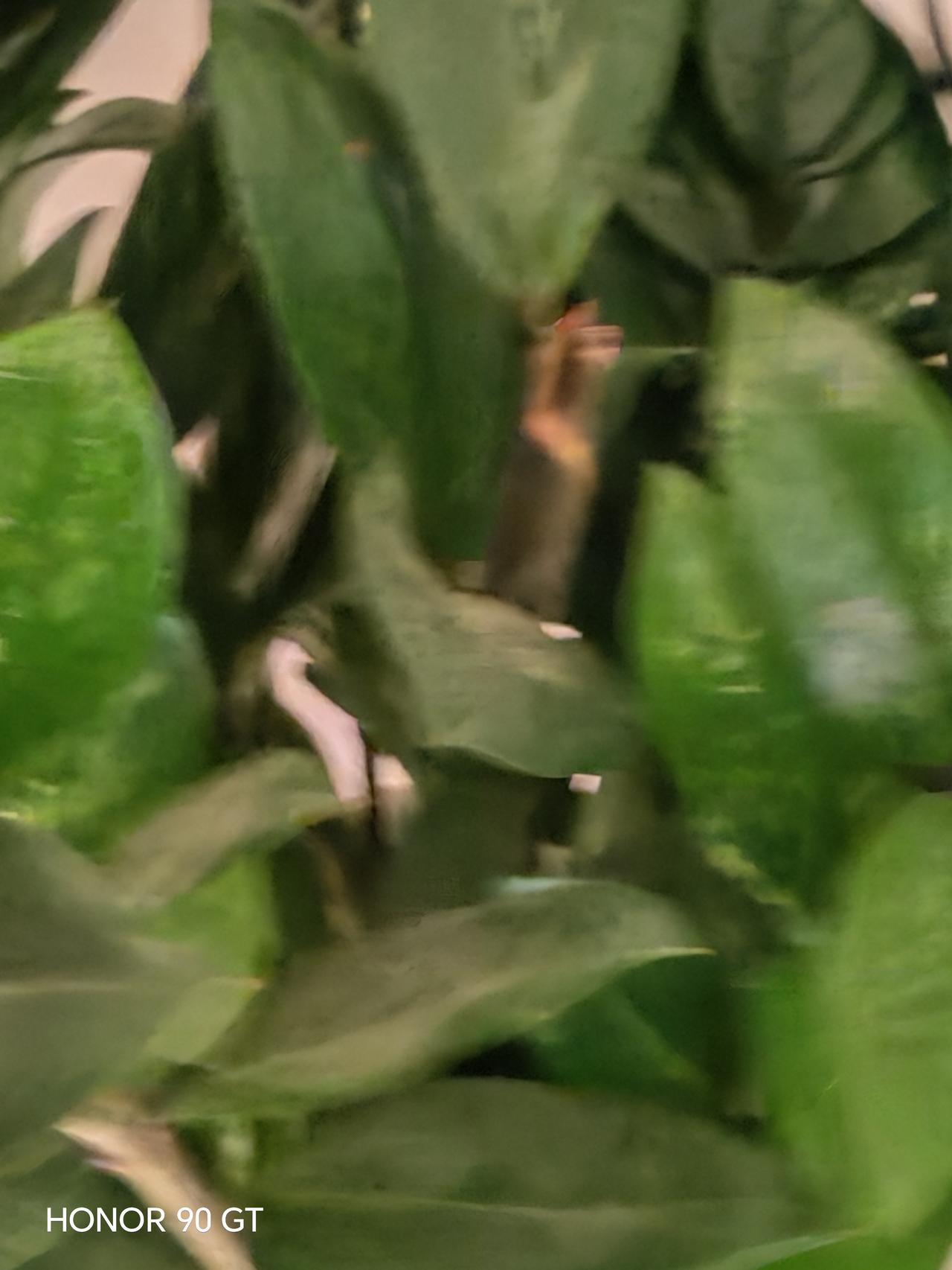 春日生活打卡季