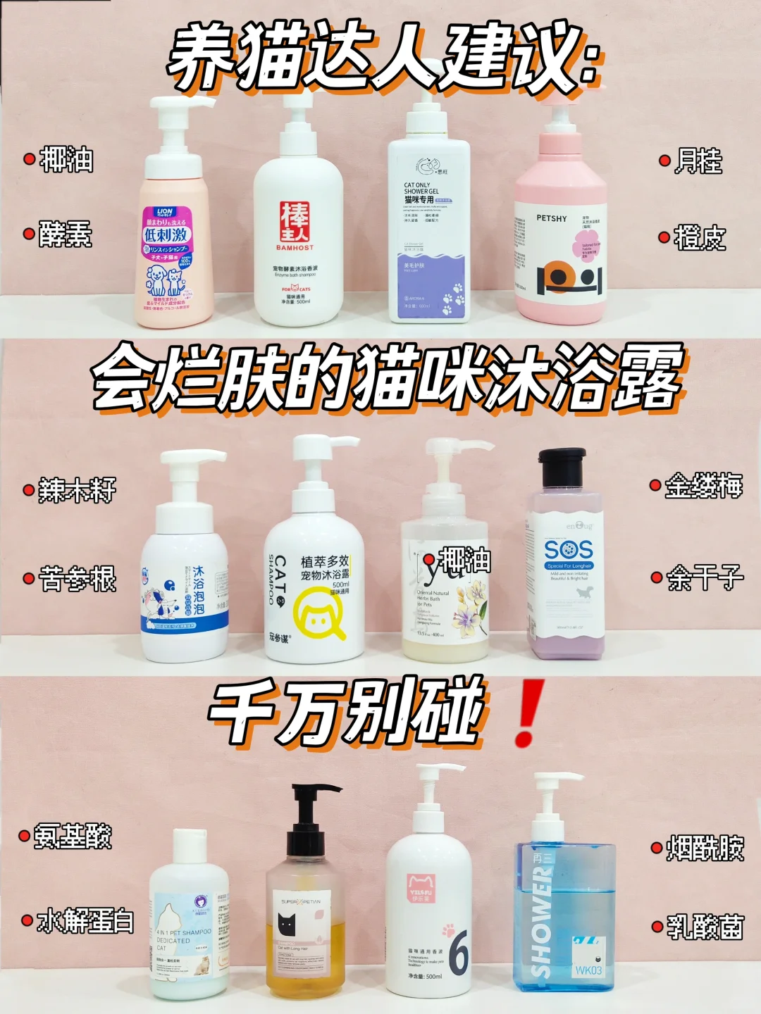 洗猫成功！618新品猫咪沐浴露功课赶紧码住
