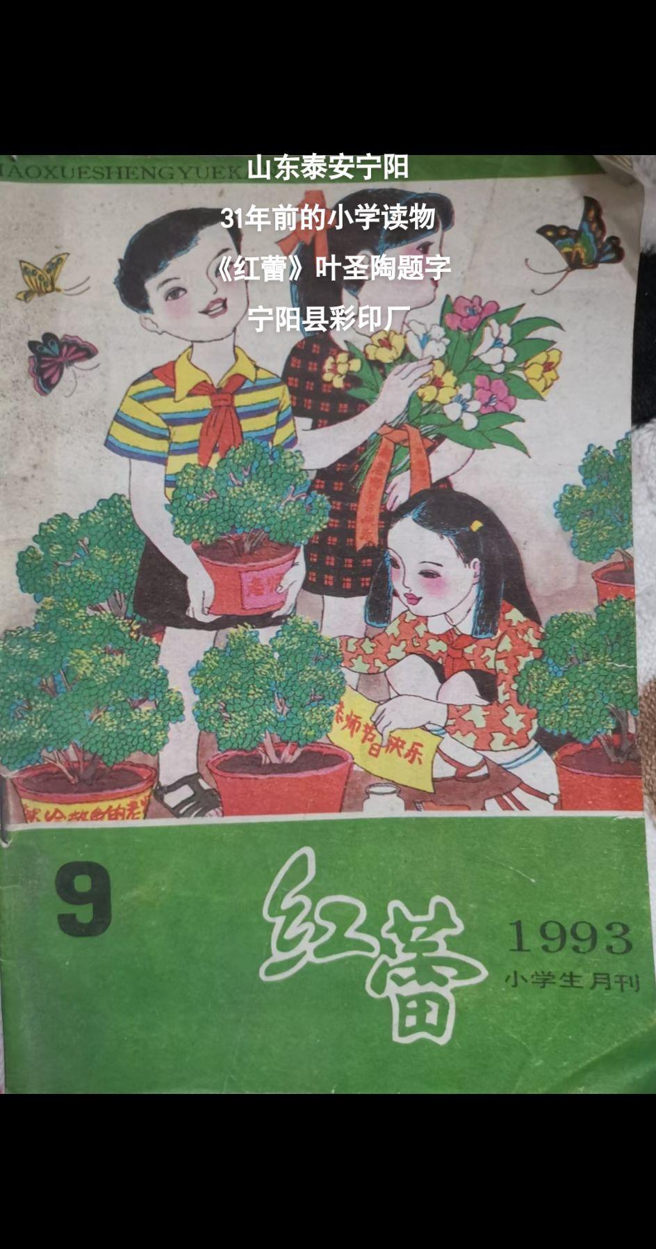 山东泰安宁阳：31年前的小学读物《红蕾》儿时记忆 小学 宁阳山东
    翻找东
