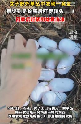 “胆真大！”浙江一女子爬山，路边发现一窝“鸡蛋”，好奇拿起来观察。手指刚摁上才察