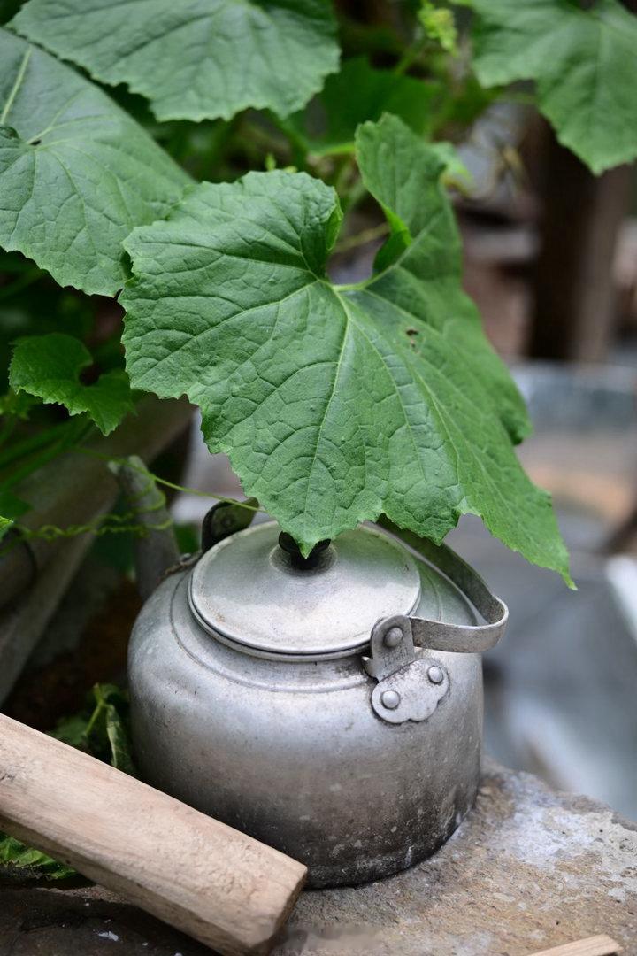 小渔村，无人在意的角落，没有精修过的生活。摄影宝藏摄影博主推荐计划