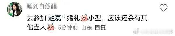 夏之光翟潇闻赵让参加赵磊婚礼夏之光翟潇闻赵让结伴参加赵磊婚礼 网传夏之光翟潇闻赵