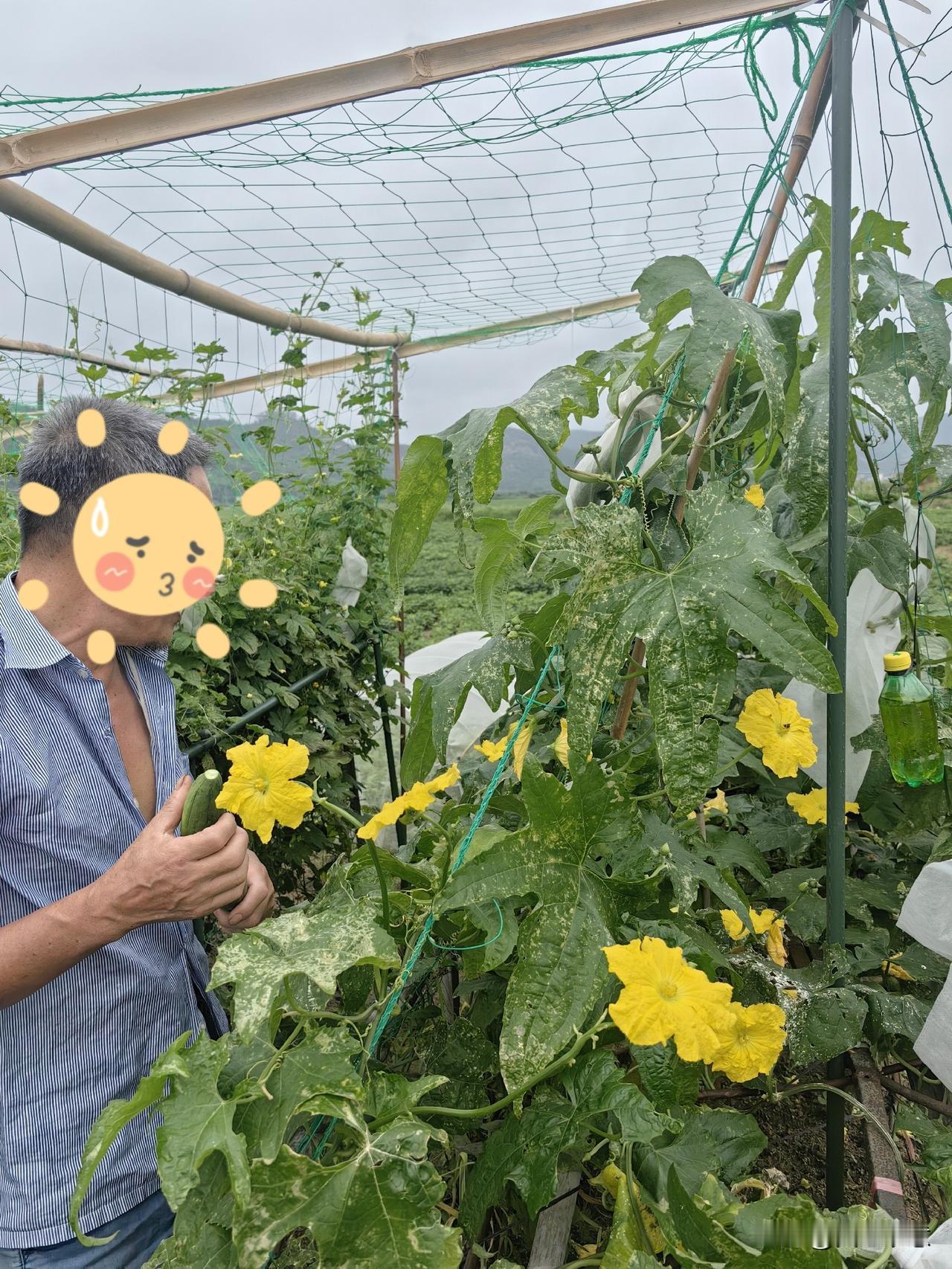 立夏刚过了没几天，气温已经狂飙至32℃，连空气都是热的，不开空调还真睡不着。
