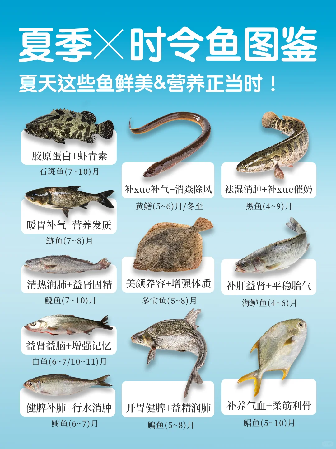 夏季11种应季鱼类速查👆｜吃海鲜🐟首选应季