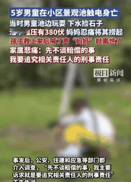 近日，一男孩在小区景观池玩耍还下水捡石头，

没想到池中有380伏电压，

导致