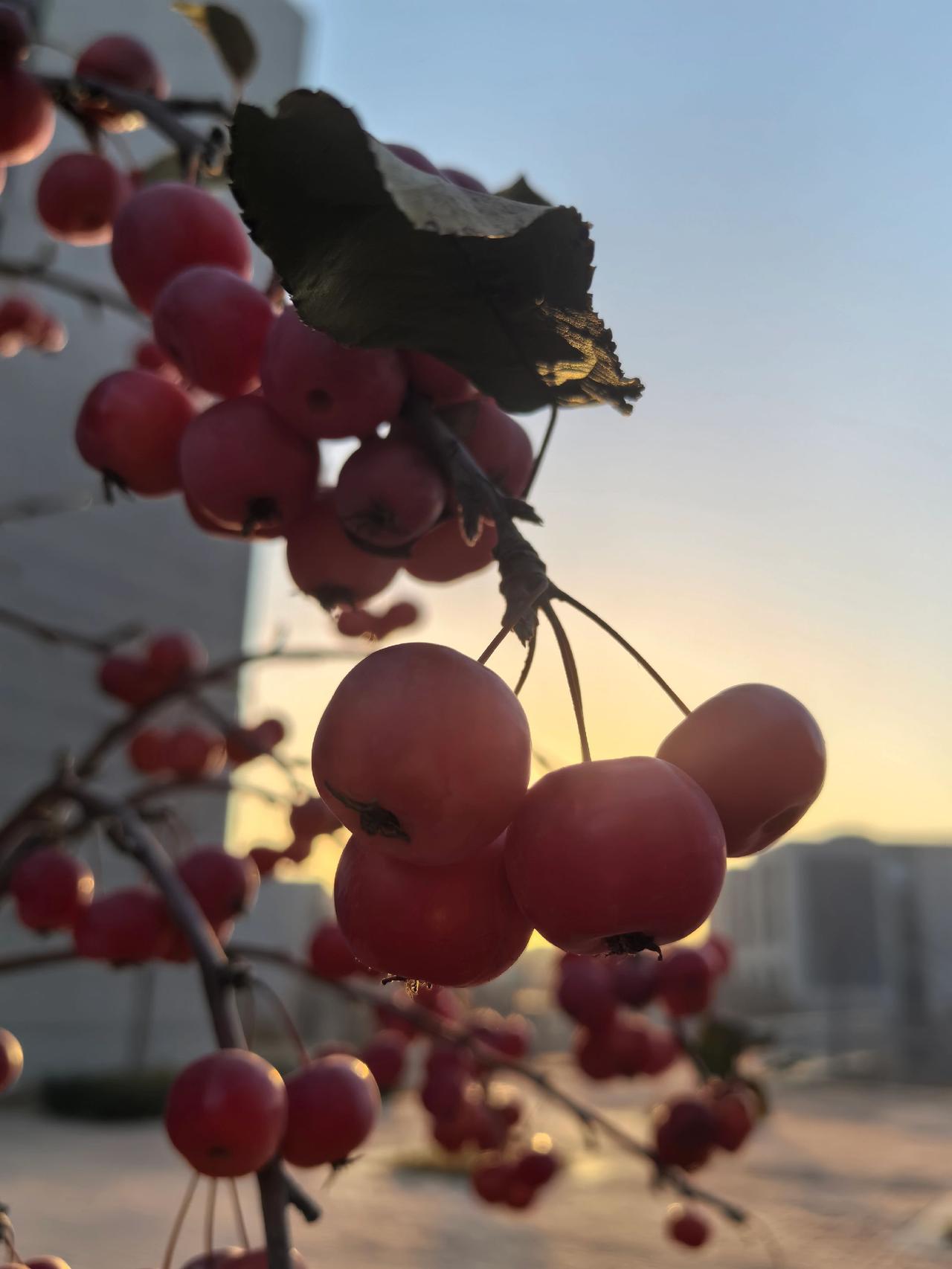 时间不语，却是最好的筛子；岁月不言，却是最好的解药。