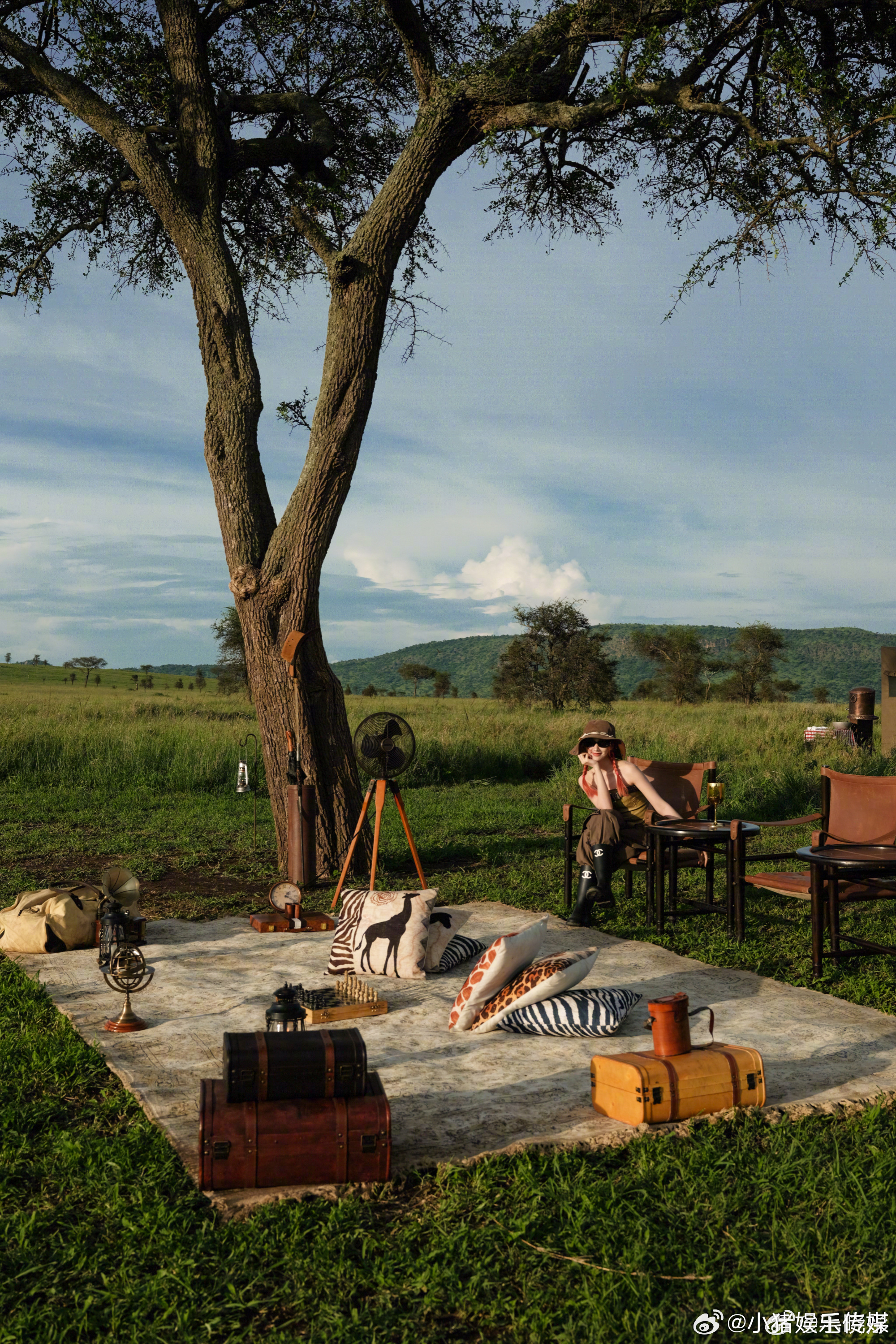 毛晓彤去了坦桑尼亚看狮子真的被毛晓彤的颜值和状态双杀！坦桑尼亚草原上的粉发造型，