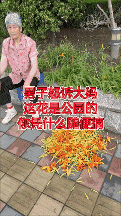 花是国家的，
你是国家的人，就可以随便揪？😡