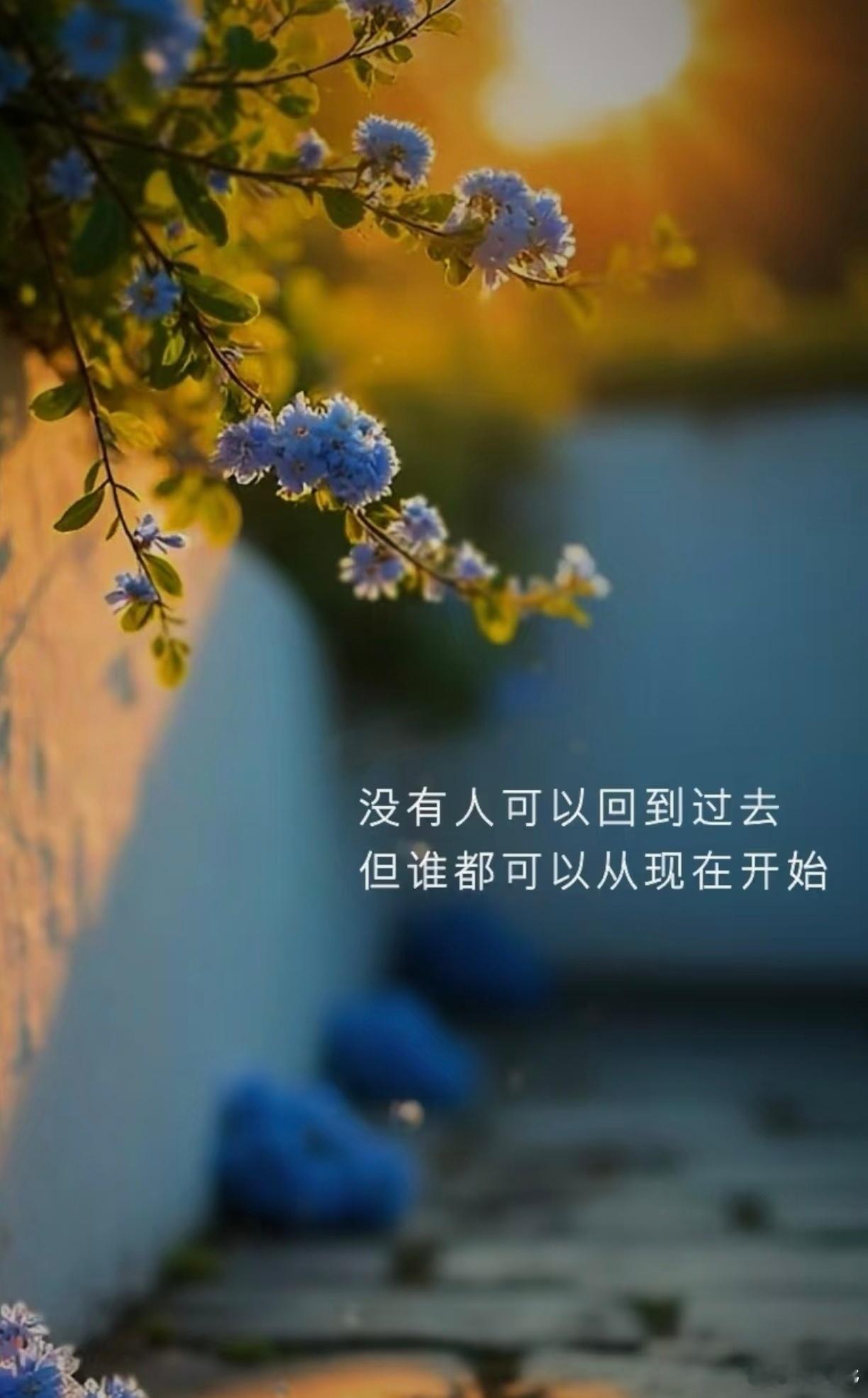 没有人可以回到过去，但谁都可以从现在开始。没有人能回到过去重新开始，但是我们都能