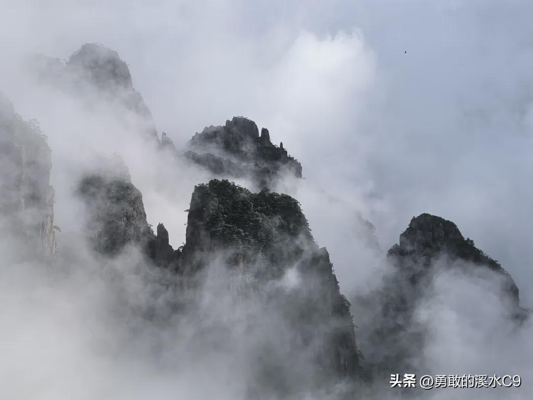 山无言，可平息一切浮躁。当城市喧嚣令人疲惫，不妨前往徽州山间觅一份宁静。
在徽州
