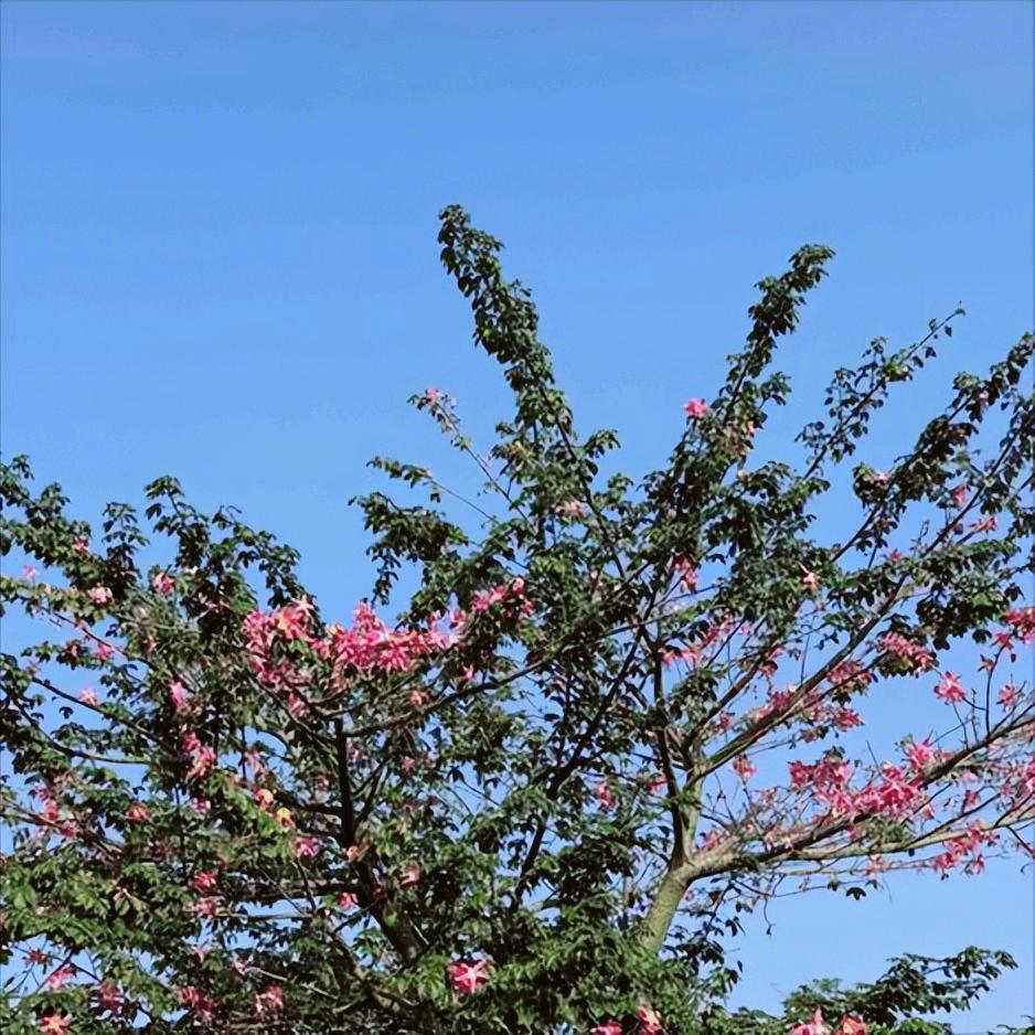 大连迎来新的政府主要负责同志
 
近日，该市迎来新的政府主要负责同志。
 
该同