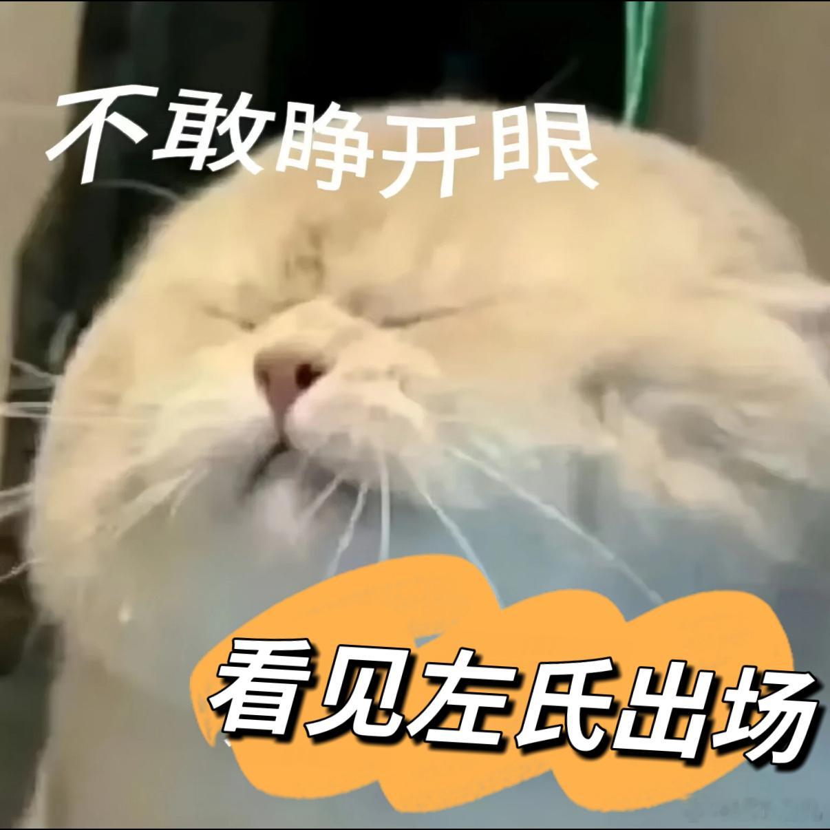 花开锦绣左氏出场自带鬼片滤镜丁禹兮人呢？快来救女主花开锦绣