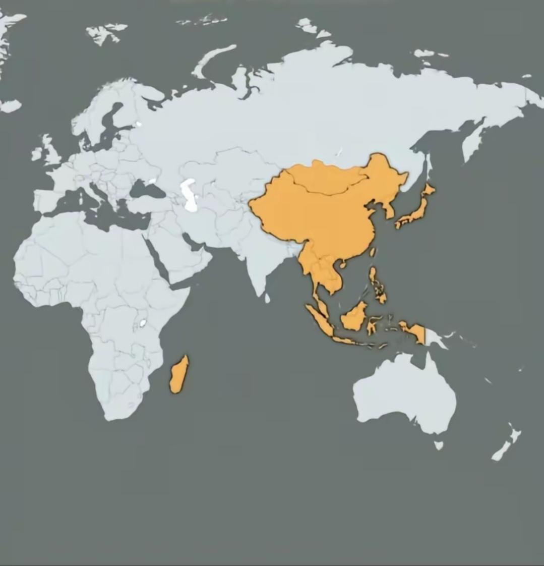 世界上以黄种人为主的国家分布，目前全世界白种人数量最多。