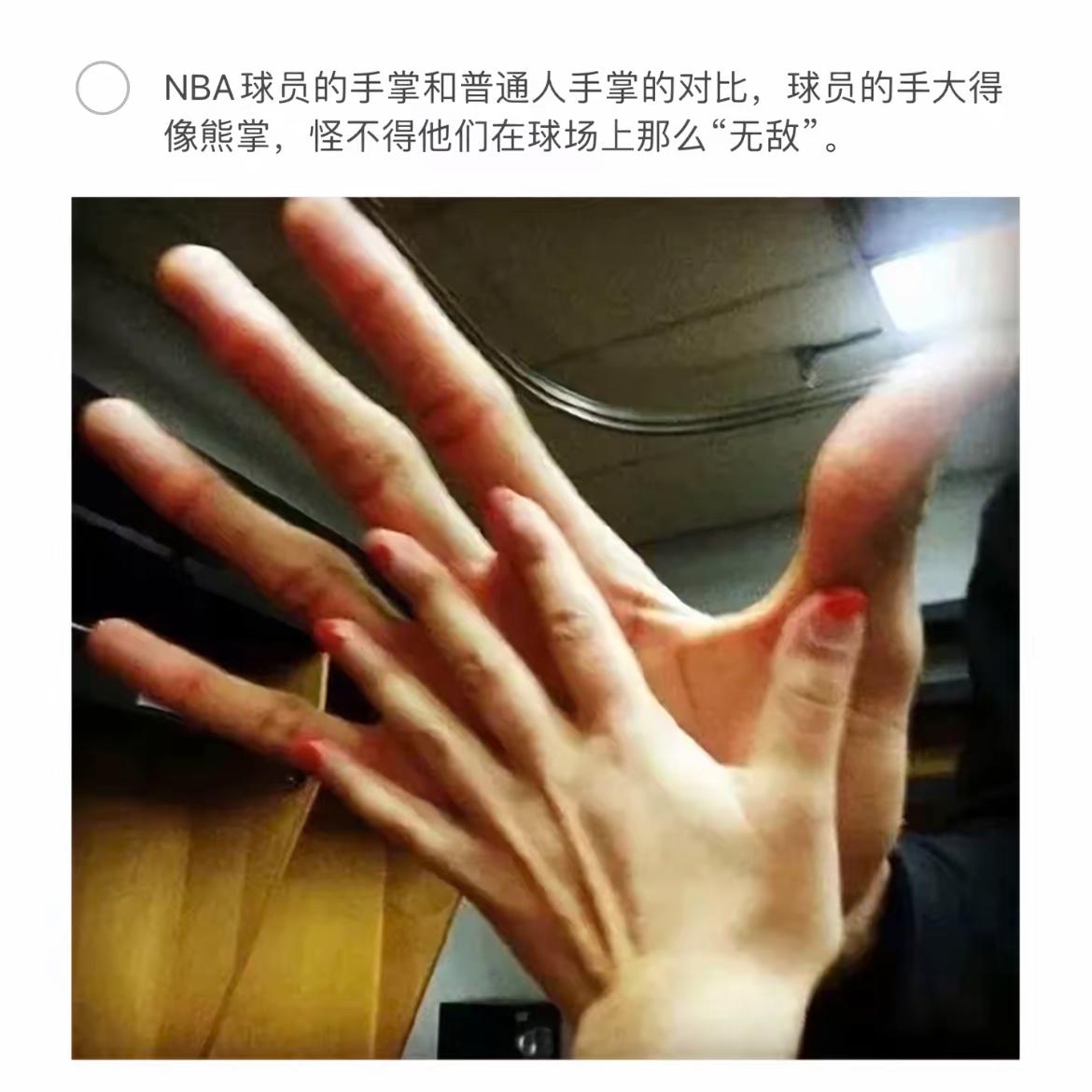 NBA球员手掌对比图：大手如熊掌，球场无敌！